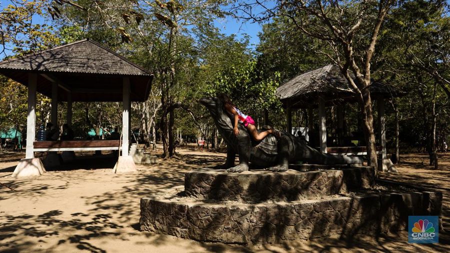 Wisatawan berkunjung di Taman Nasional Komodo, Pulau Komodo, Nusa Tenggara Timur, Minggu (24/7/2022). (CNBC Indonesia/ Andrean Kristianto)