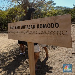 Pengusaha Agen Perjalanan: Kenaikan Tiket Komodo 'Membunuh'