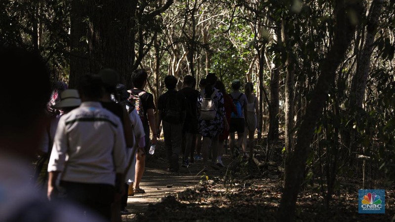 Wisatawan berkunjung di Taman Nasional Komodo, Pulau Komodo, Nusa Tenggara Timur, Minggu (24/7/2022). (CNBC Indonesia/ Andrean Kristianto)