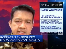 Pungutan Ekspor Disetop, BPDPKS Pastikan Program Jalan Terus