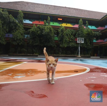 Mulai Muncul Lagi Sekolah di DKI Lockdown Gara-Gara Covid