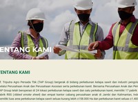 Semester I, Laba Emiten Sawit TP Rachmat Tembus Rp 1,78 T