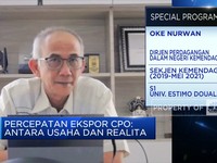 Simak Rencana Pemerintah Cabut DMO Minyak Sawit, Pakai Syarat
