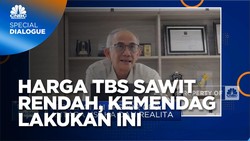 Begini Jurus Kemendag Dorong Kenaikan Harga TBS Sawit Petani
