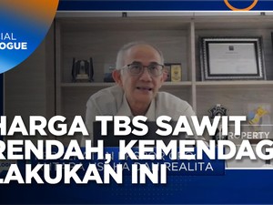 Begini Jurus Kemendag Dorong Kenaikan Harga TBS Sawit Petani