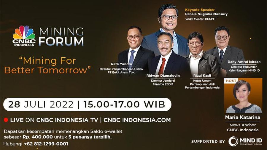 adv mindid