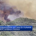Diterpa Gelombang Panas, Kebakaran Hutan Yunani Tambah Parah
