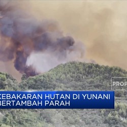 Diterpa Gelombang Panas, Kebakaran Hutan Yunani Tambah Parah