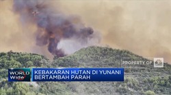 Diterpa Gelombang Panas, Kebakaran Hutan Yunani Tambah Parah