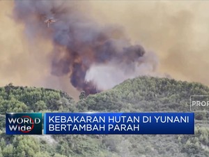 Diterpa Gelombang Panas, Kebakaran Hutan Yunani Tambah Parah