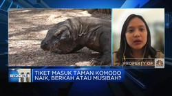 Jokowi Naikkan Tarif TN Komodo, Berkah atau Musibah?