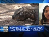 Jokowi Naikkan Tarif TN Komodo, Berkah atau Musibah?