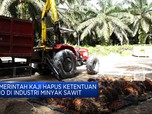 Mendag Zulkifli Buka Wacana Hapus DMO Sawit