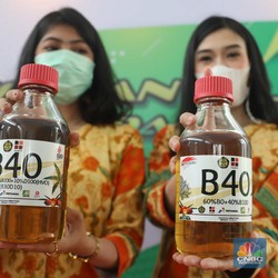 Awal 2025 RI Bakal Punya BBM 'Baru' Dicampur Minyak Sawit 40%