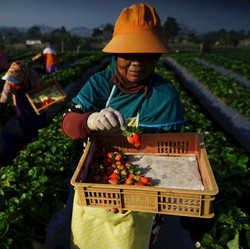 Hadirkan Figur Inspiratif UMKM, BRI Ajak Makin Bertumbuh