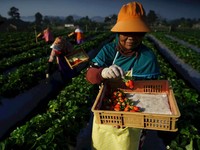 Bisnis UMKM Diproyeksi Melaju & Tangguh di Tengah Isu Resesi