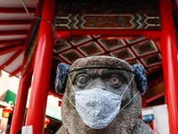 Bukan Inflasi! Jepang Geger Gegara Monyet, Kok Bisa?