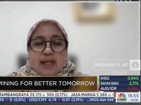 Pemerintah Kaji Pembentukan Lembaga Baru Pelototi PETI