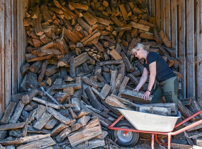 Monique Müller, rimbawan distrik dari August Bier Foundation, mengambil kayu bakar dari sebuah kamp. (dpa/picture alliance via Getty Images) Monique Müller, rimbawan distrik dari August Bier Foundation, mengambil kayu bakar dari sebuah kamp. (dpa/picture alliance via Getty Images)