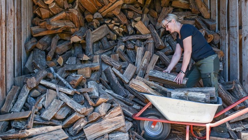 Monique Müller, rimbawan distrik dari August Bier Foundation, mengambil kayu bakar dari sebuah kamp. (dpa/picture alliance via Getty Images)