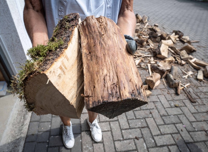 Monique Müller, rimbawan distrik dari August Bier Foundation, mengambil kayu bakar dari sebuah kamp. (dpa/picture alliance via Getty Images) Monique Müller, rimbawan distrik dari August Bier Foundation, mengambil kayu bakar dari sebuah kamp. (dpa/picture alliance via Getty Images)