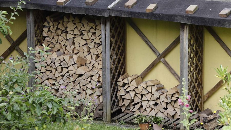 Warga Jerman mulai timbun kayu bakar. (dpa/picture alliance via Getty Images)