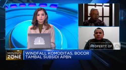 Genjot Penerimaan di Masa Windfall Komoditas, Ini Saran Ahli