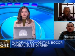 Genjot Penerimaan di Masa Windfall Komoditas, Ini Saran Ahli