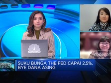 Suku Bunga The Fed Capai 2,5%, Bye Dana Asing