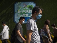 Terungkap! Asal Usul Virus Langya yang Sebabkan Gagal Ginjal