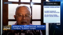 Windfall Komoditas Tambal Subsidi Energi, Sudah Tepat?