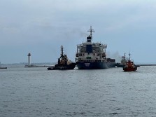 Penampakan Kapal Pembawa Gandum dari Ukraina, Dunia Menanti!