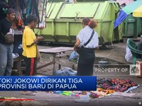 Jokowi Teken Pembentukan 3 Provinsi Papua Baru