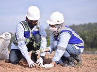 PTBA Telah Tanam 1,33 Juta Pohon di Area Reklamasi