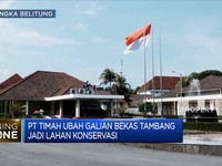PT Timah Ubah Galian Bekas Tambang Jadi Lahan Konservasi
