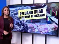 Peluang Cuan Di Sektor Perikanan
