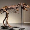 Peneliti Ungkap Nasib Manusia Bakal Mirip Dinosaurus, Mengerikan!