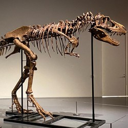 Peneliti Ungkap Nasib Manusia Bakal Mirip Dinosaurus, Mengerikan!