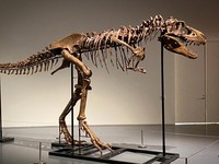 Peneliti Ungkap Nasib Manusia Bakal Mirip Dinosaurus, Mengerikan!