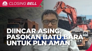 Batu Bara Diincar Asing, Pasokan Dalam Negeri ke PLN Cs Aman?
