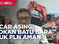 Batu Bara Diincar Asing, Pasokan Dalam Negeri ke PLN Cs Aman?