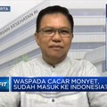 Kemenkes Ungkap Beda Gejala Cacar Monyet Dengan Cacar Air