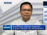 1 Pasien Cacar Monyet di RI Sembuh, Tren Kasus Dunia Turun