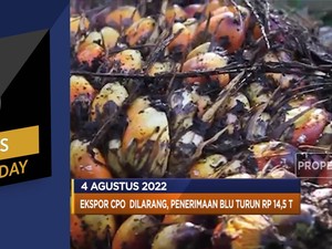 Penerimaan BLU Turun Rp14,5 T, Hingga OPEC+ Tambah Produksi