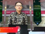 BEI Pertanyakan Kok Dirut Jhonlin Haji Isam Mundur Pasca IPO
