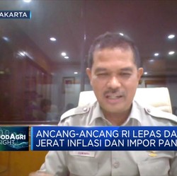 Jurus RI Capai Swasembada Beras & Genjot Produksi Pangan