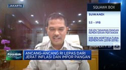 Jurus RI Capai Swasembada Beras & Genjot Produksi Pangan