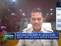 Jurus RI Capai Swasembada Beras & Genjot Produksi Pangan