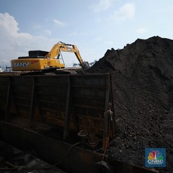 Jokowi: Wajah Pak Ical Cerah, Harga Batu Bara Tembus US$400