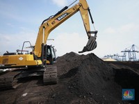 Jangan Kaget! Sesama Pengusaha Batu Bara RI Saja Masih Ada Ketimpangan